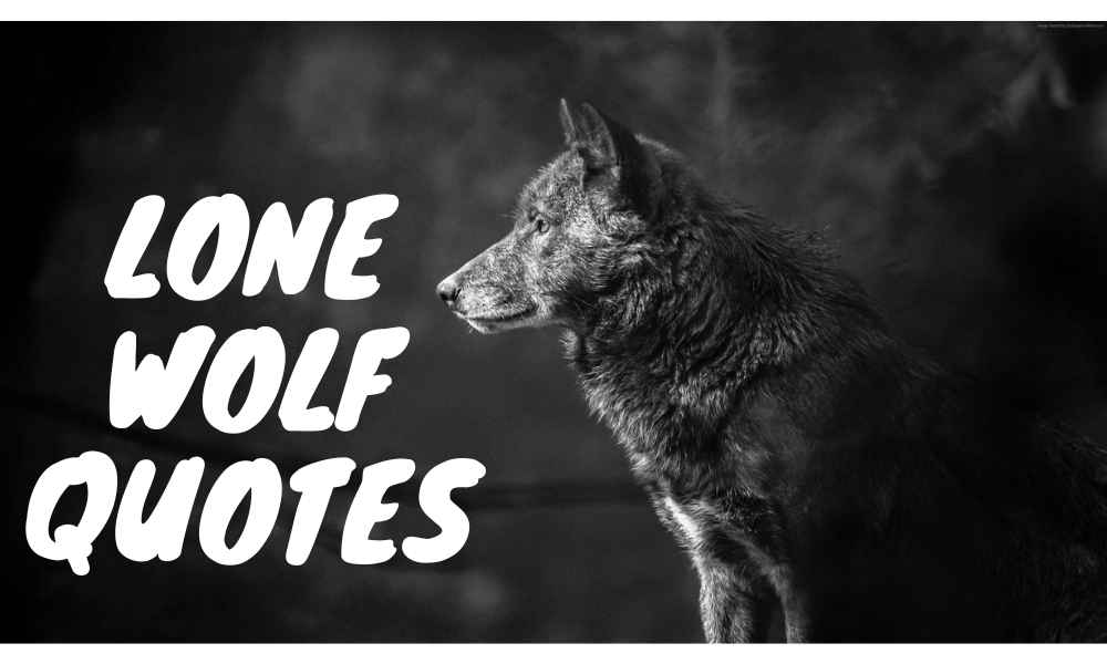 30 Great Lone Wolf Quotes