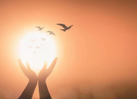 Jaulasim Beyond the Borders